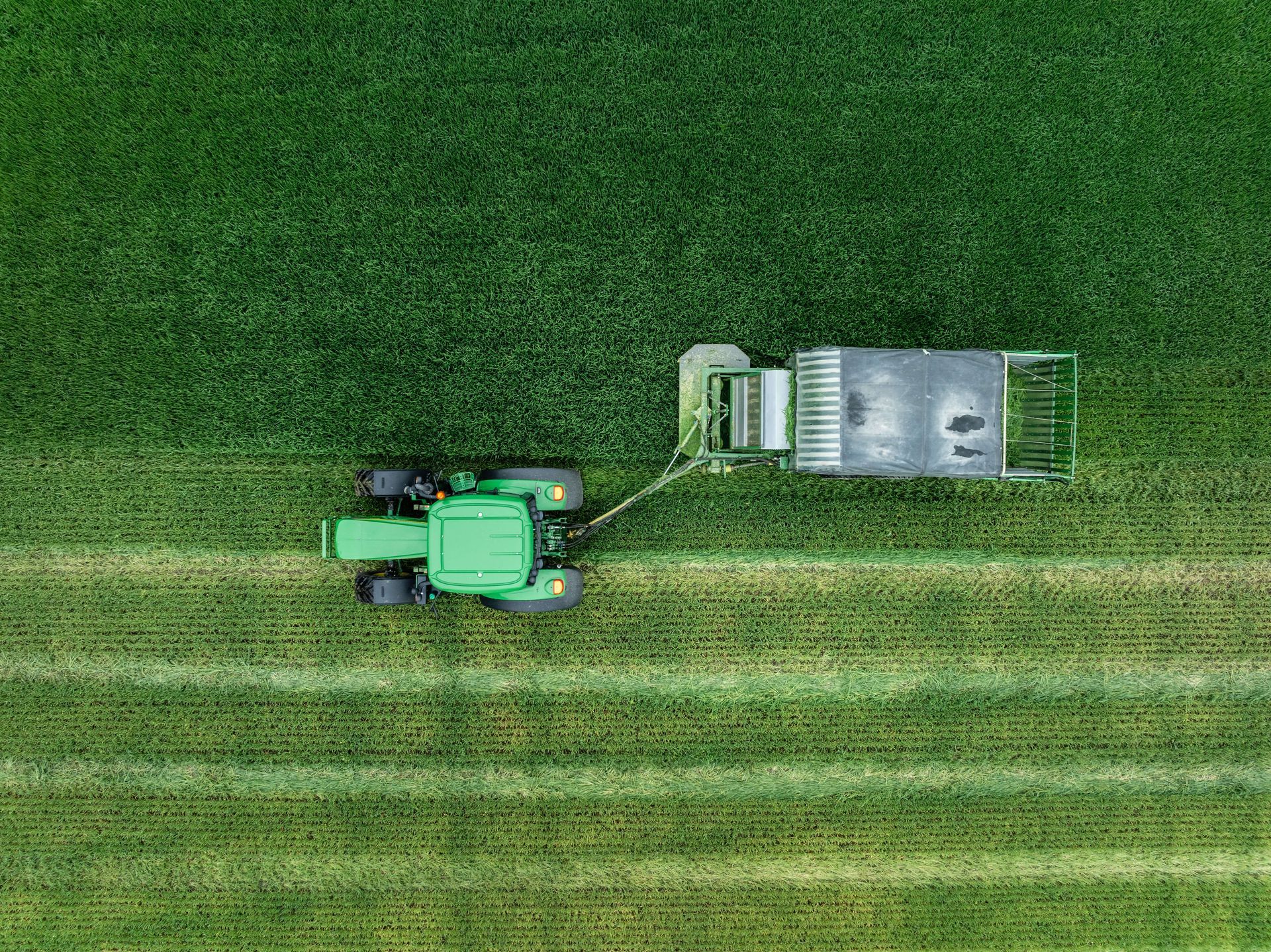 Folium Organics NZ