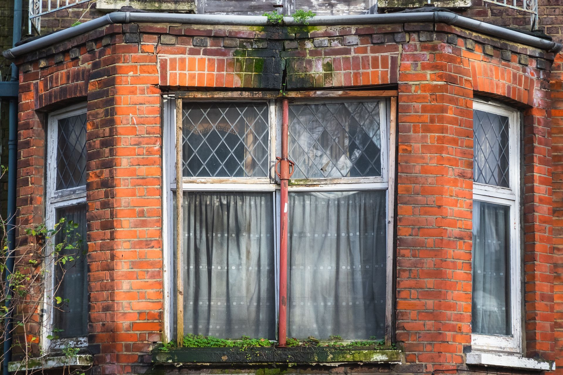 Damp staining and vegetation growth on bay window of traditional brick property
