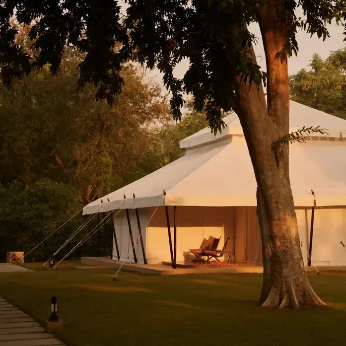 To the Wilds