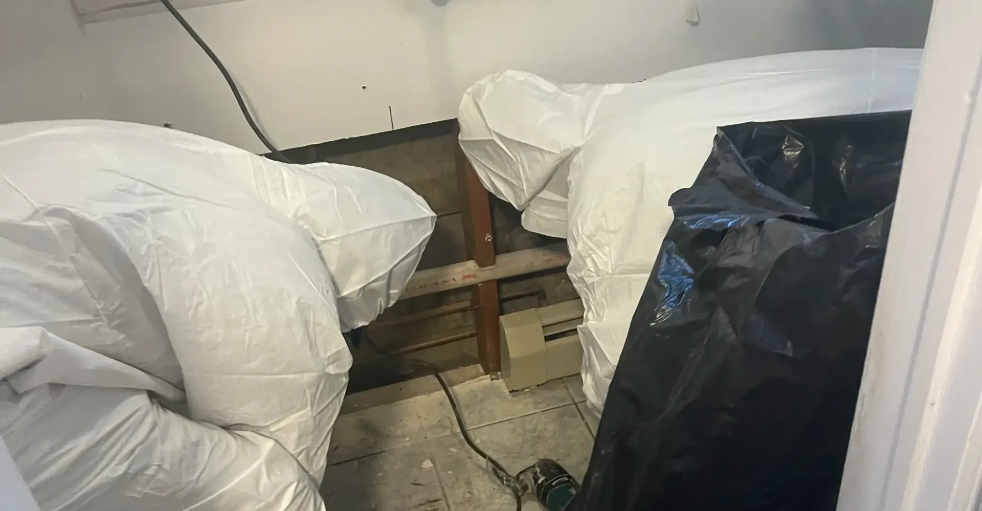 how to get rid of black mold