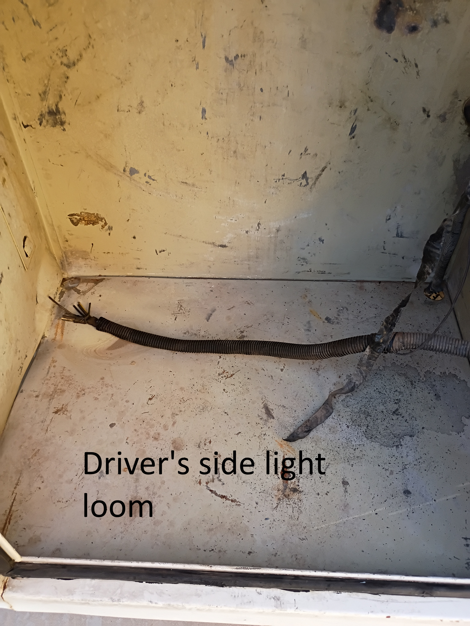 Driver's side light loom in a dirty compartment with a black wire bundle against beige walls