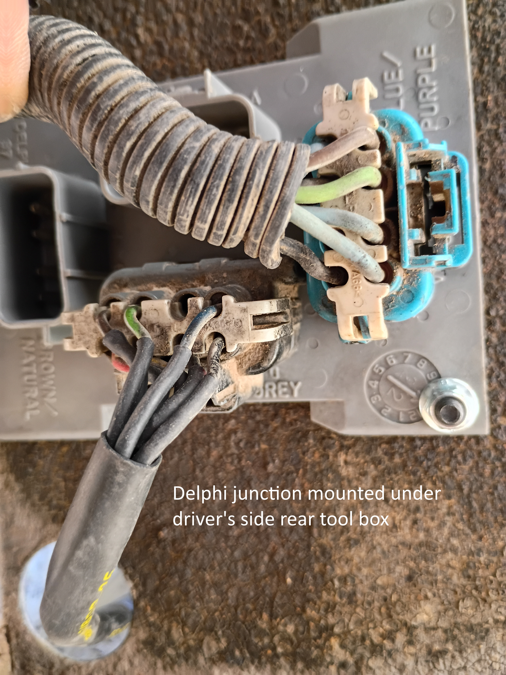 Close-up of a damaged electrical connector and wires on a vehicle frame, with a chipped blue plug.