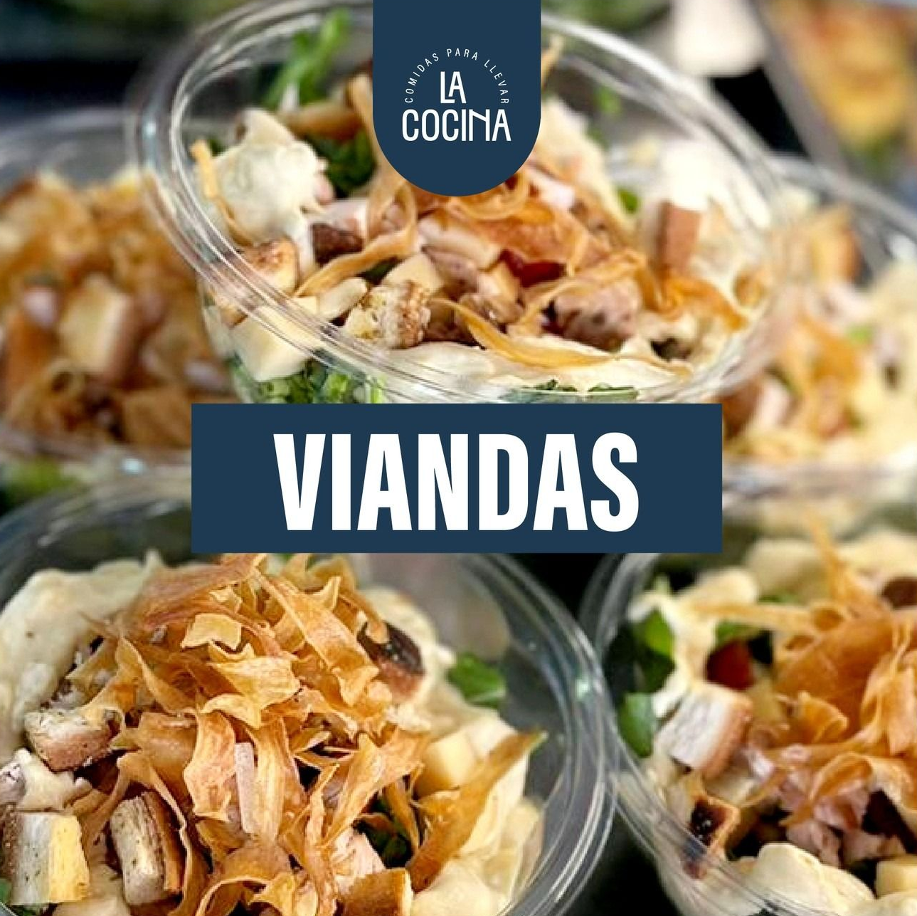 Plato de comida casera para llevar