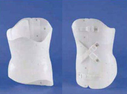 busto tipo boston
