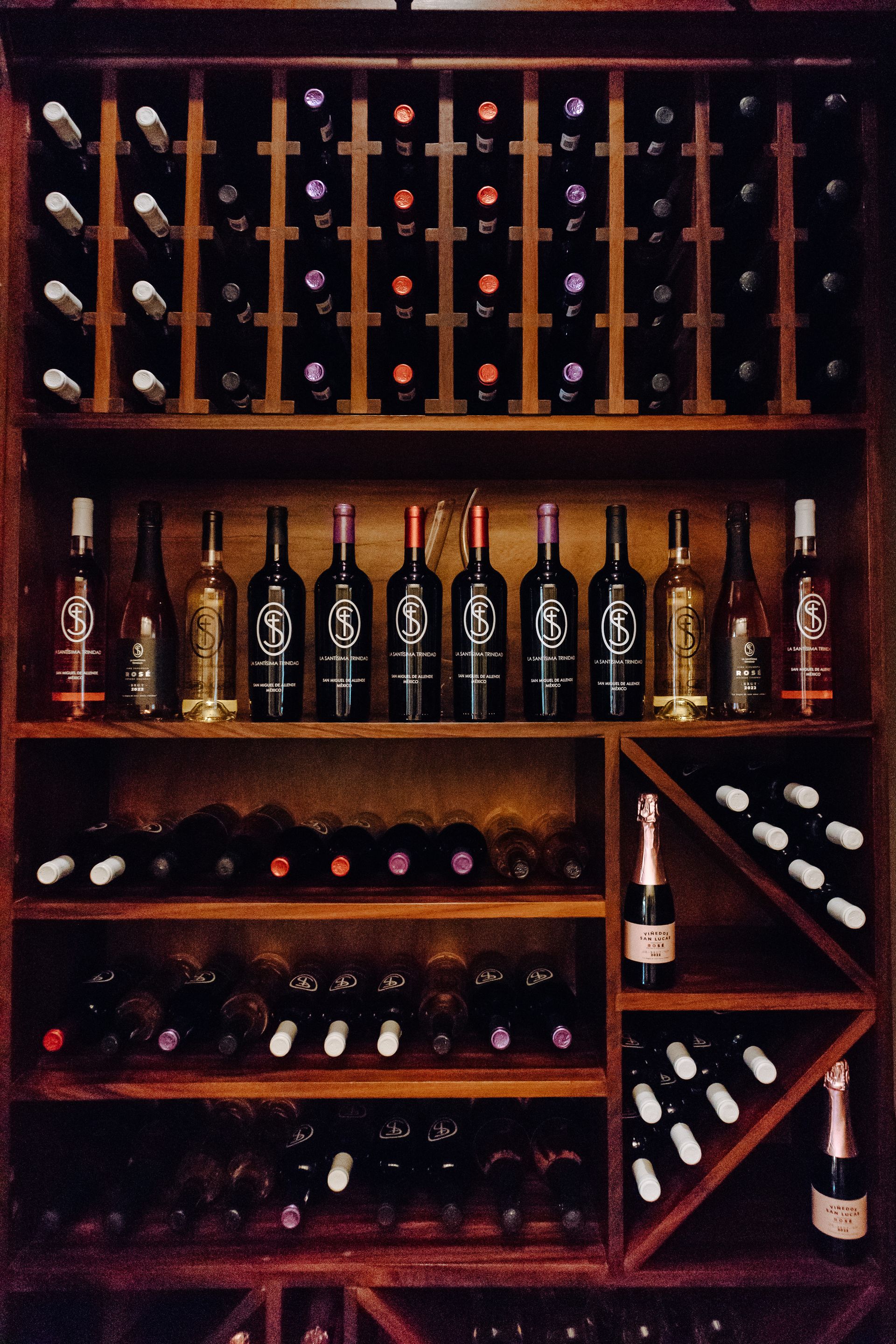 Botellero de madera con filas de botellas de vino en estantes