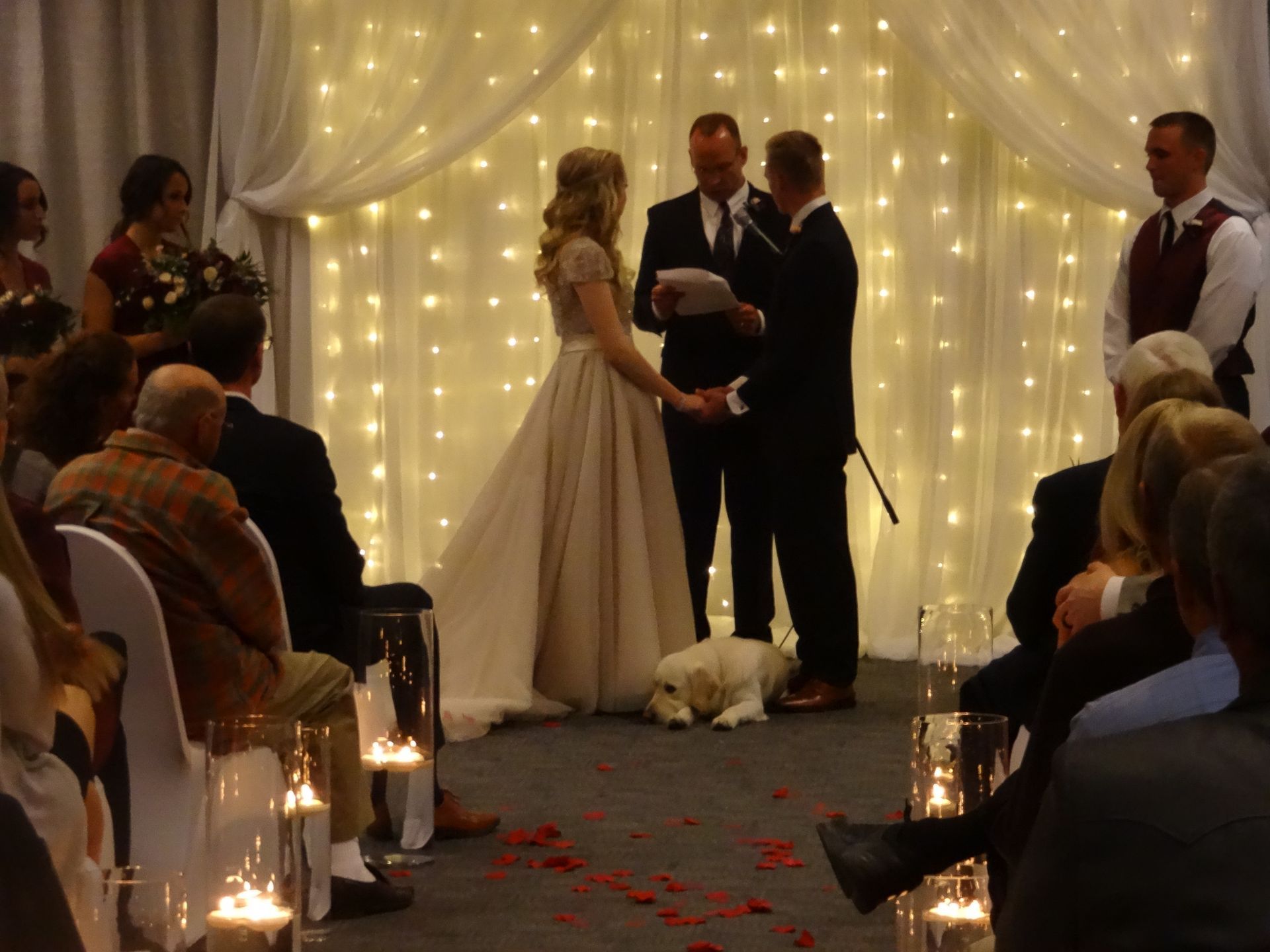 A bride and groom are holding hands during their wedding ceremony with a dog laying on the floor.