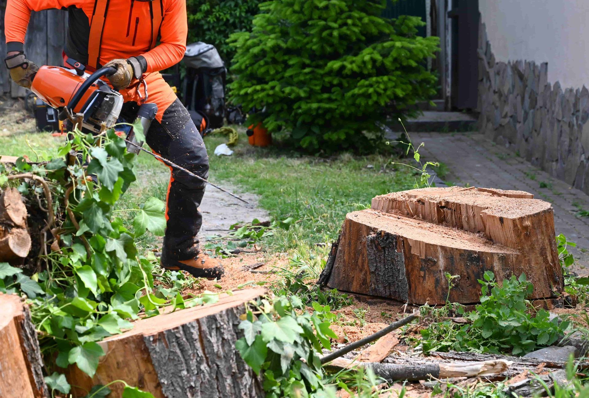 Person using a chainsaw to cut branches beside tree stumps in a yard