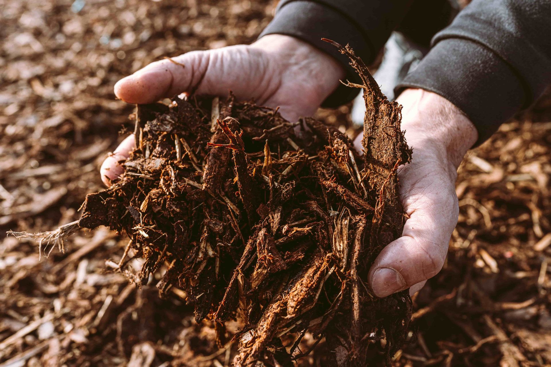 Hands holding a handful of dark compost or soil outdoors.