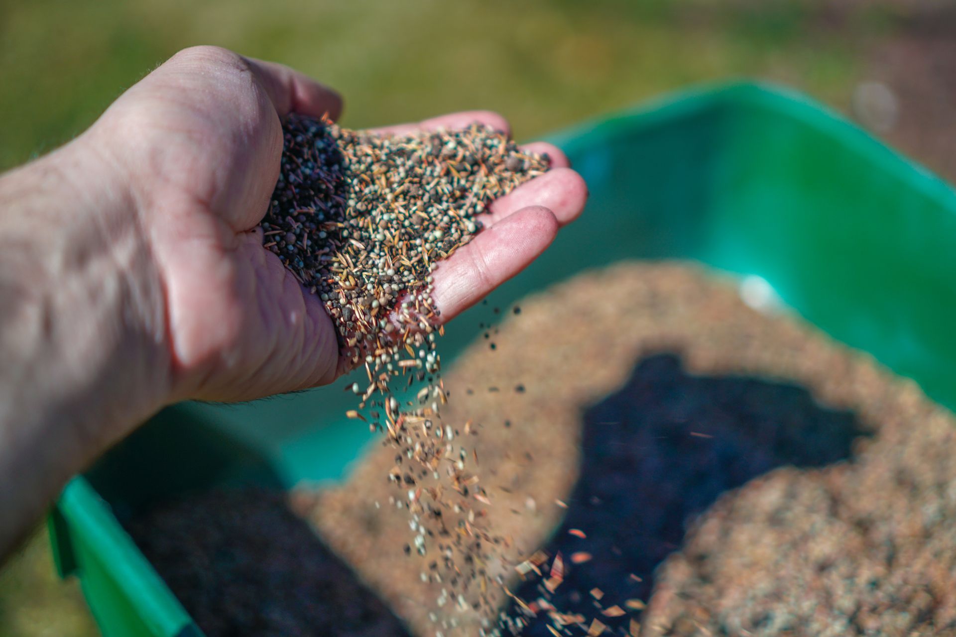 Hand pouring birdseed into a green tray feeder outdoors