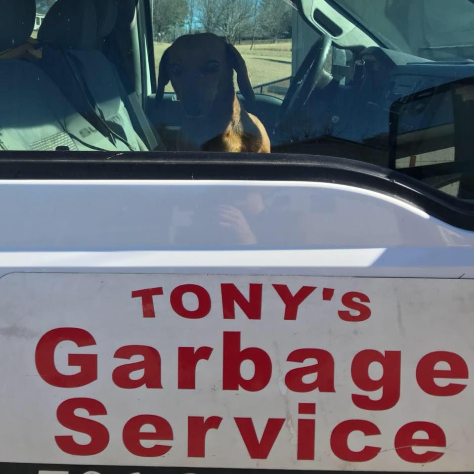 Expert Garbage Service Union County, GA Tony’s Garbage