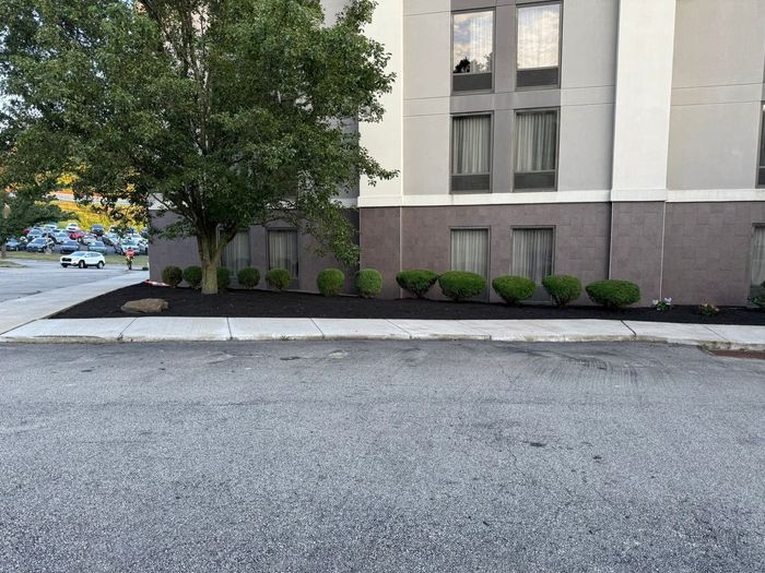 Apartment building exterior with tree, shrubs, and empty paved street in front