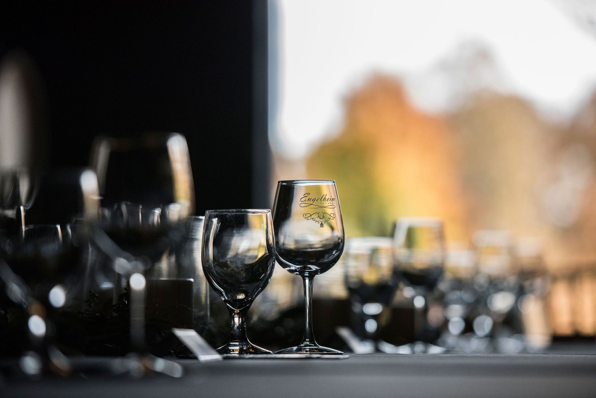 A table with a lot of wine glasses on it