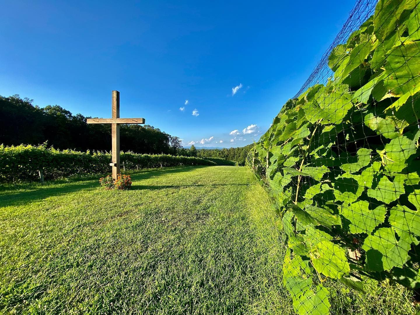A wooden cross in the middle of a grassy field