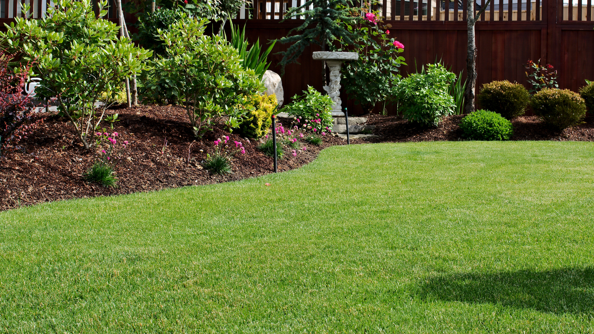 Lush green lawn borders a garden bed with shrubs, flowers, and a birdbath, set against a wooden fence.