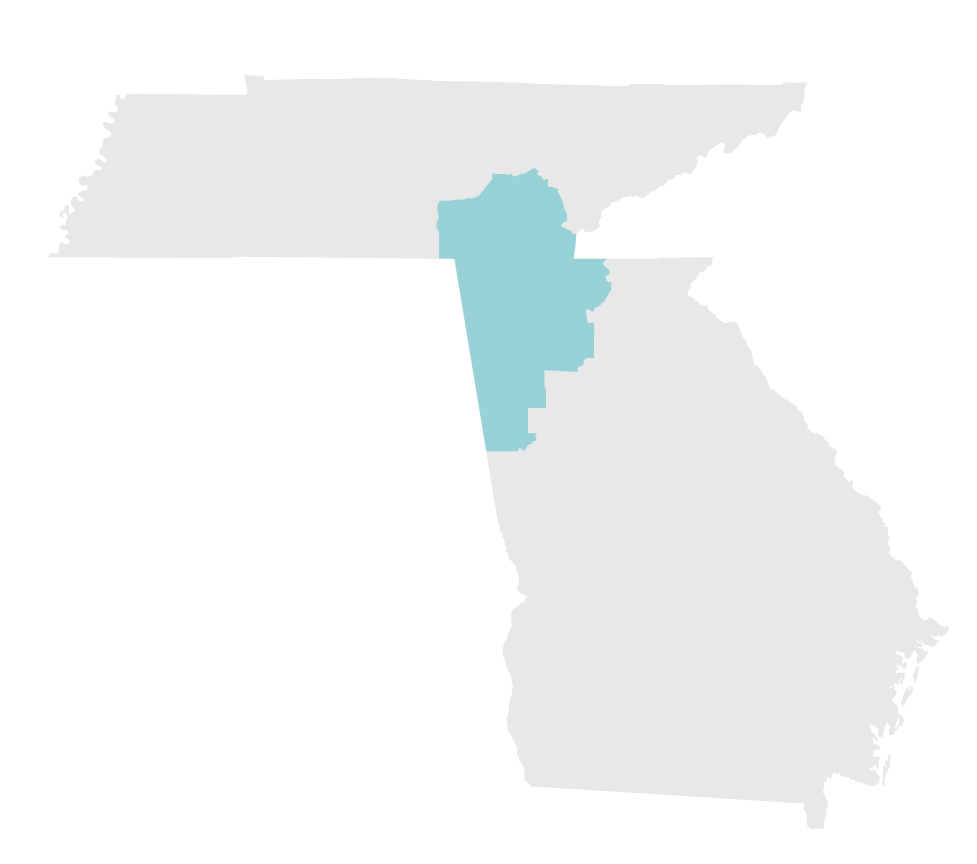 A map of georgia with a blue area highlighted in the middle.