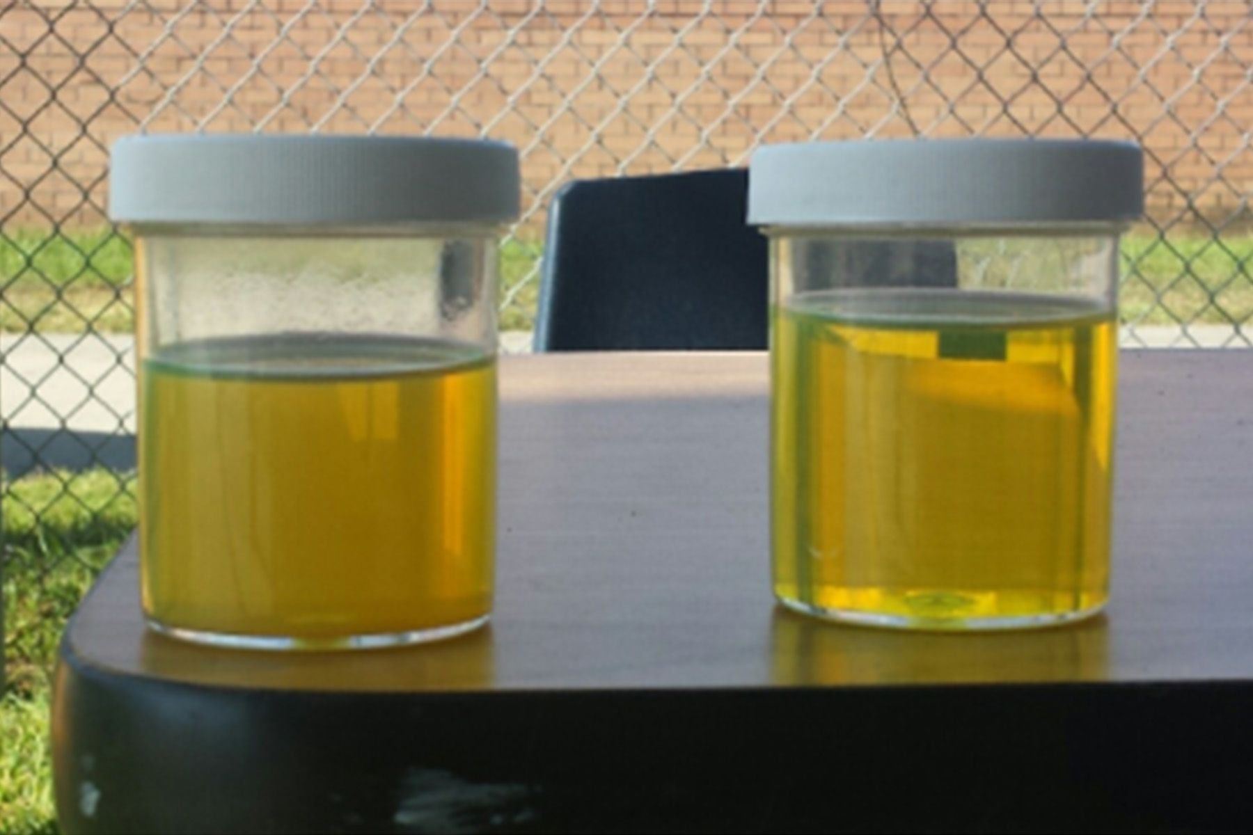 Two jars of yellow liquid are sitting on a table