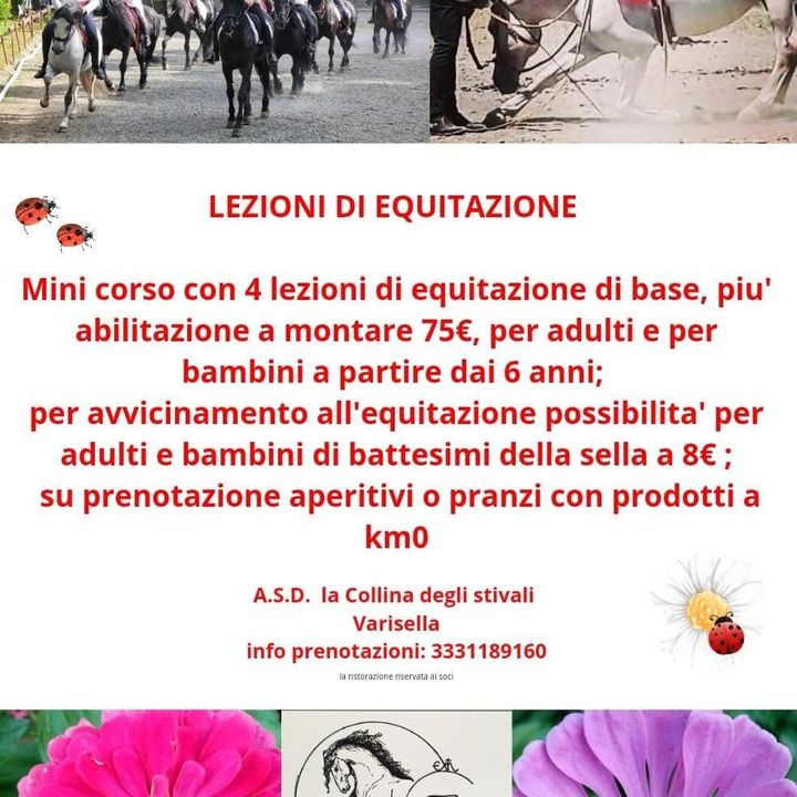 Due cavalieri a cavallo in un’arena sabbiosa, uno su un cavallo nero e l’altro su un cavallo bianco, con alberi sullo sfondo