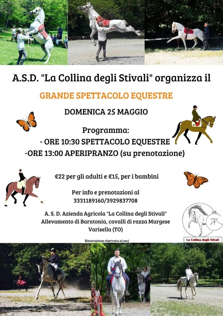 Uomo con camicia bianca e gilet scuro a cavallo di un cavallo bianco, con uno sfondo verde e frondoso