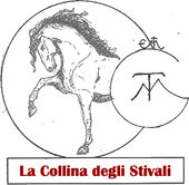 Logo con un cavallo stilizzato a mano e la scritta “La Collina degli Stivali” in rosso.