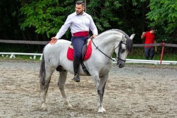 Uomo a cavallo di un cavallo grigio in un’arena sabbiosa, con una coperta da sella rossa e alberi verdi sullo sfondo