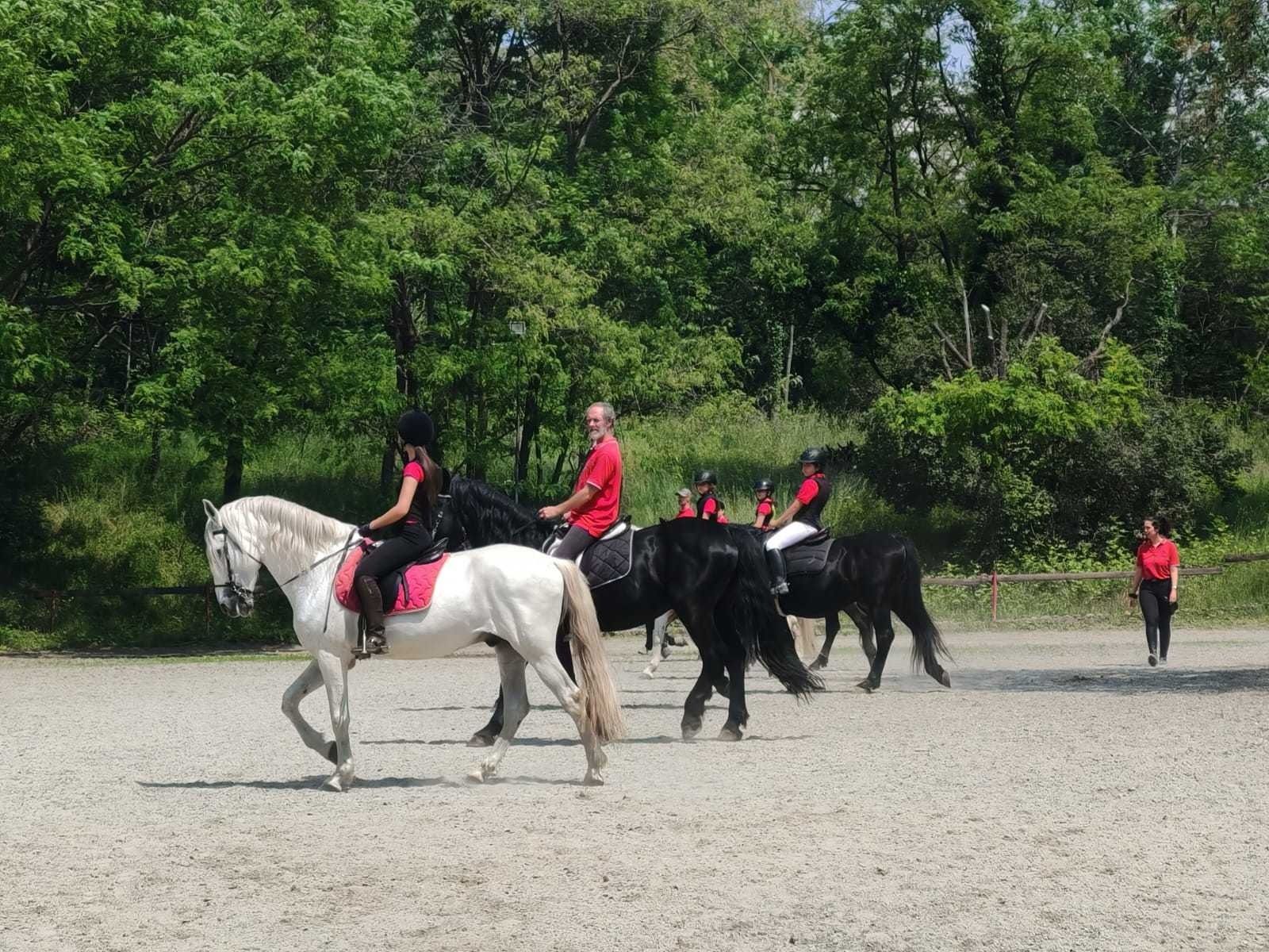 Persone a cavallo in un maneggio all’aperto, con alberi sullo sfondo