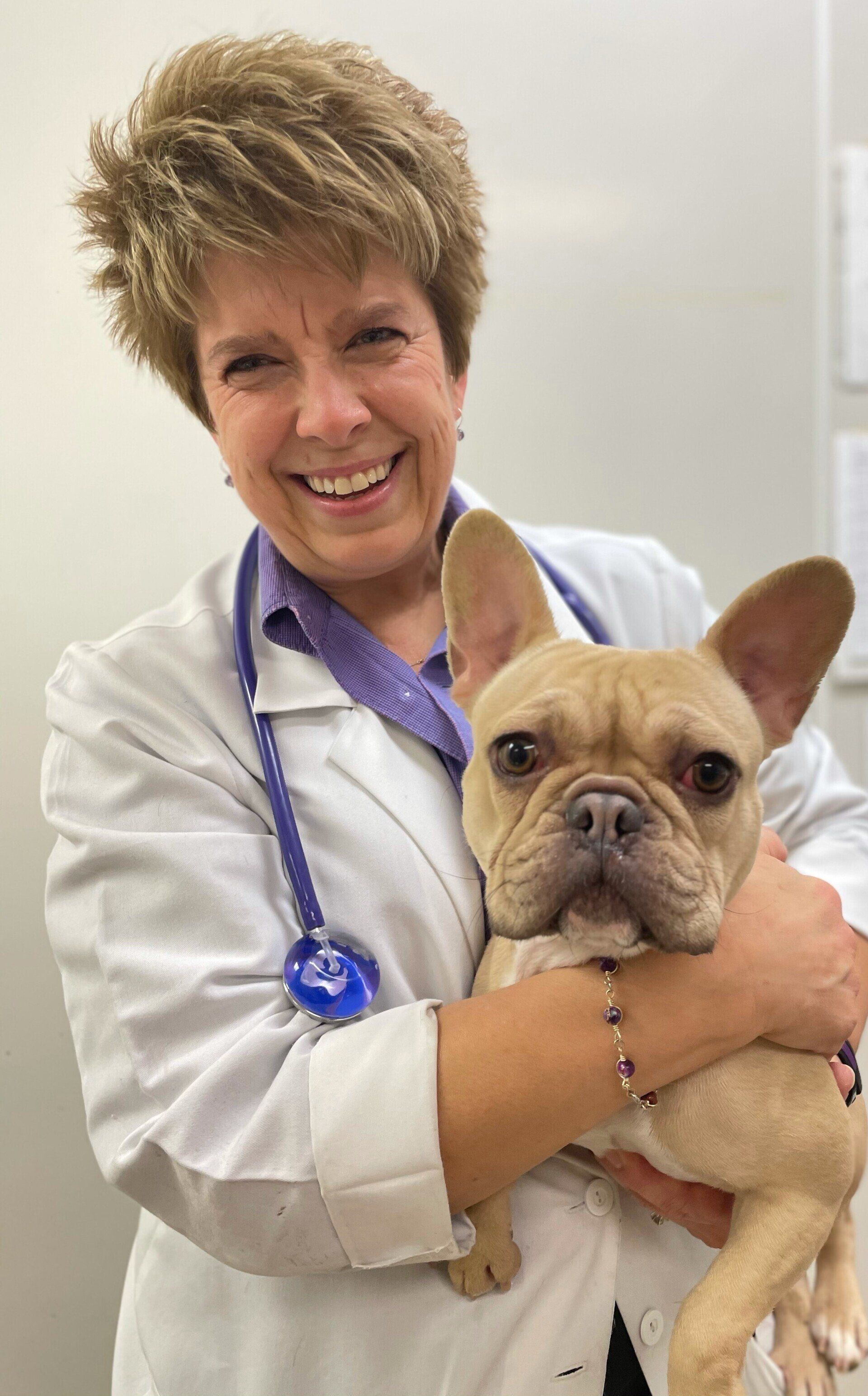 Dr Kirsten Handke-Jeffers — Orland Park, IL — Animal Medical Center of Orland Park