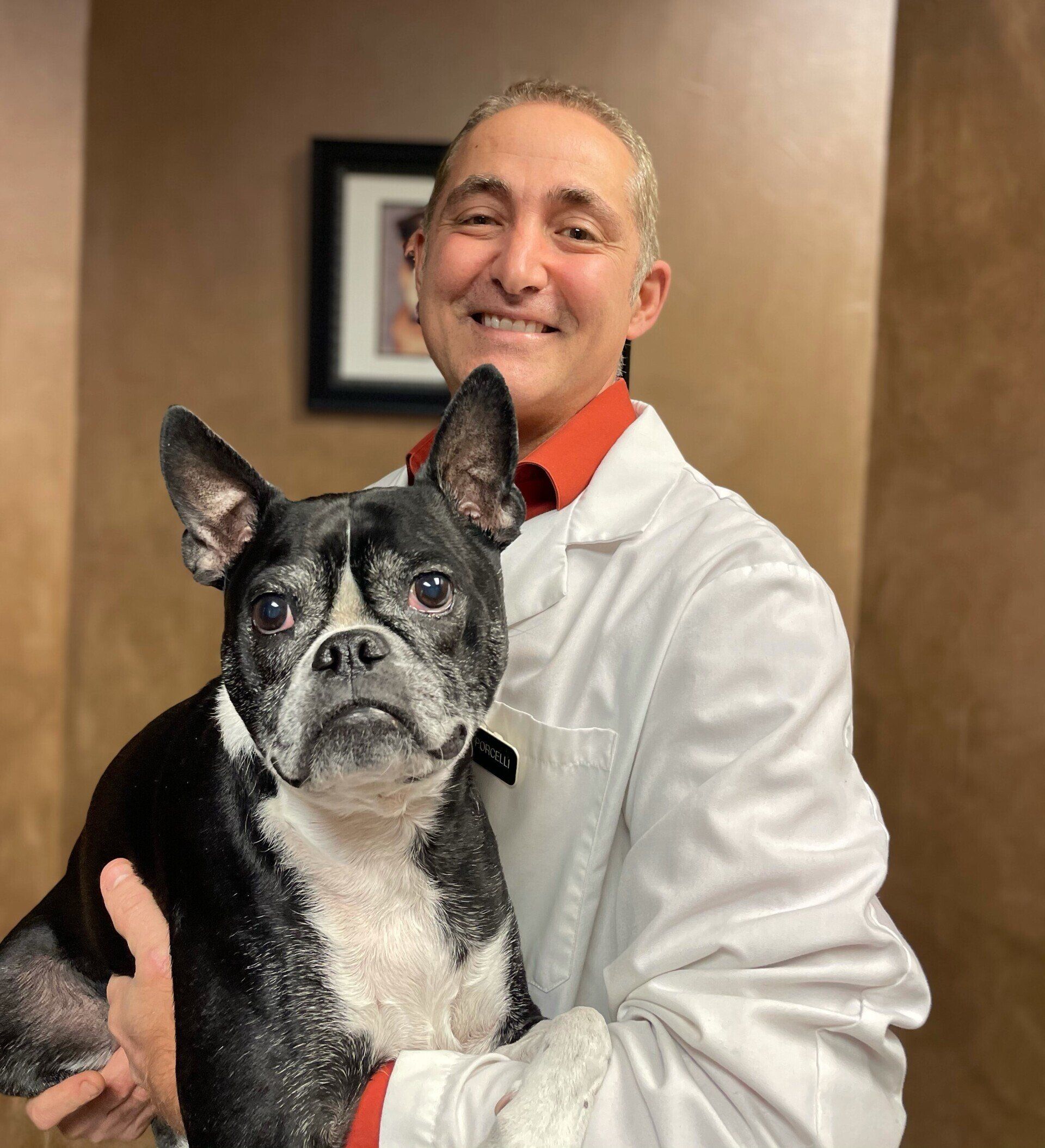 Dr John Porcelli — Orland Park, IL — Animal Medical Center of Orland Park