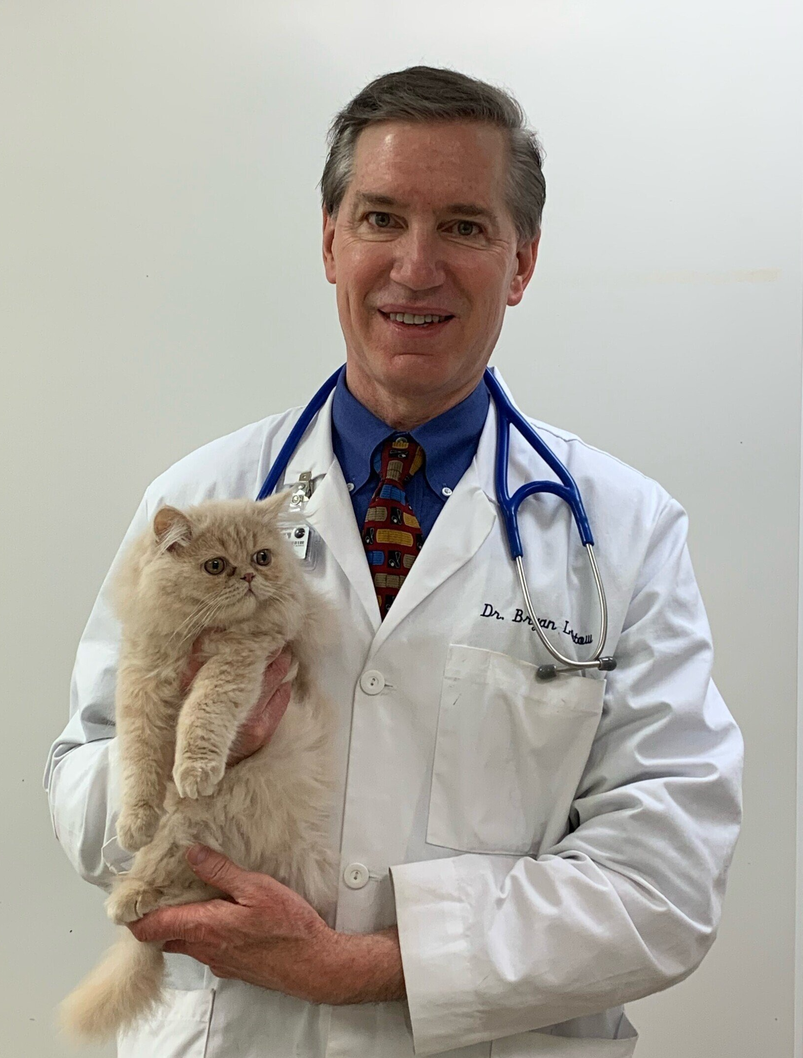 Dr. Bryan Lantow — Orland Park, IL — Animal Medical Center of Orland Park