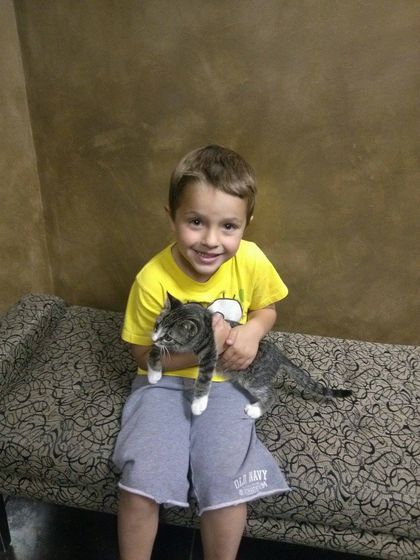 Boy Holding a Cat — Orland Park, IL — Animal Medical Center of Orland Park Boy Holding a Cat — Orland Park, IL — Animal Medical Center of Orland Park