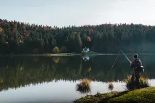 A person stands at the edge of a calm, reflective lake, fishing under a dense forest canopy near a small, distant house.