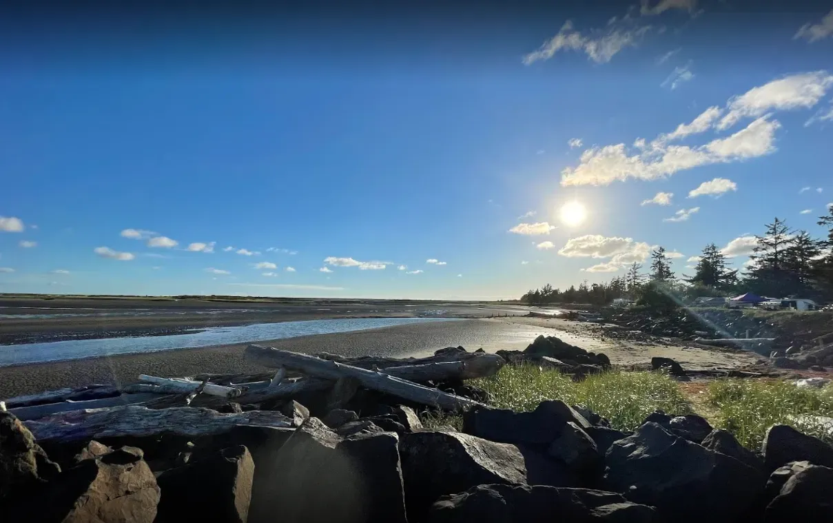 A sunny day at a rocky shoreline with drift logs, tall beach grass, and trees under a clear blue sky.