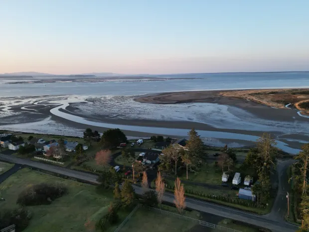 An aerial view of a tidal estuary at low tide, with a road and coastal homes nestled among trees in the foreground.