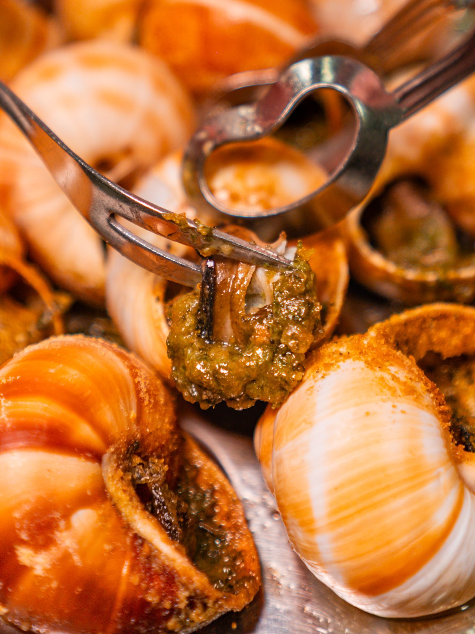 Con un cucchiaio, sollevare una lumaca cotta da un mucchio di gusci di molluschi arancioni e bianchi.