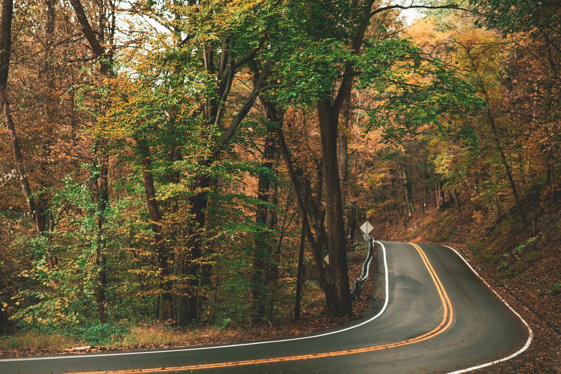 A winding road in the woods with trees on both sides