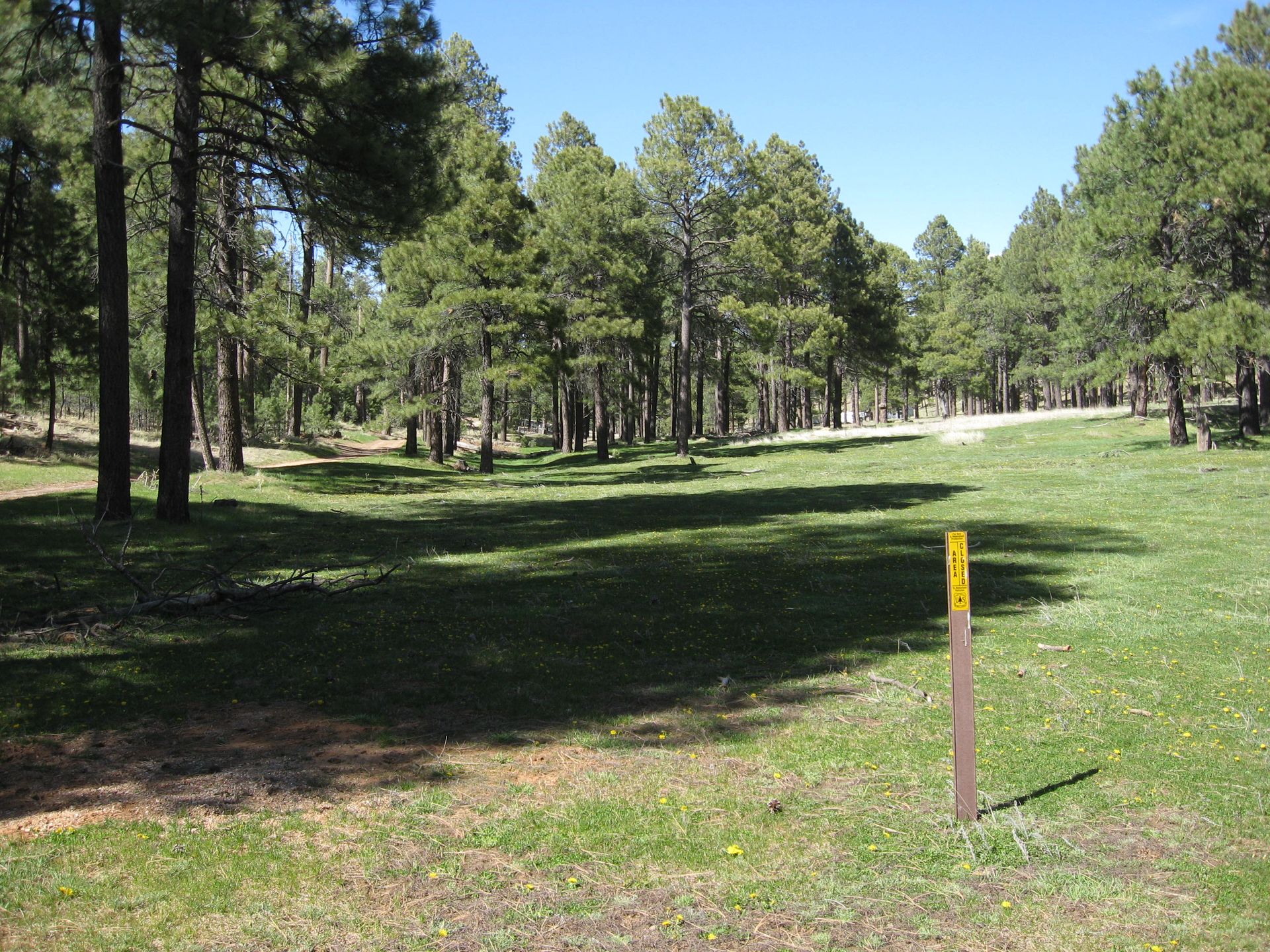 Real Estate Appraiser Scottsdale, AZ 4806097090