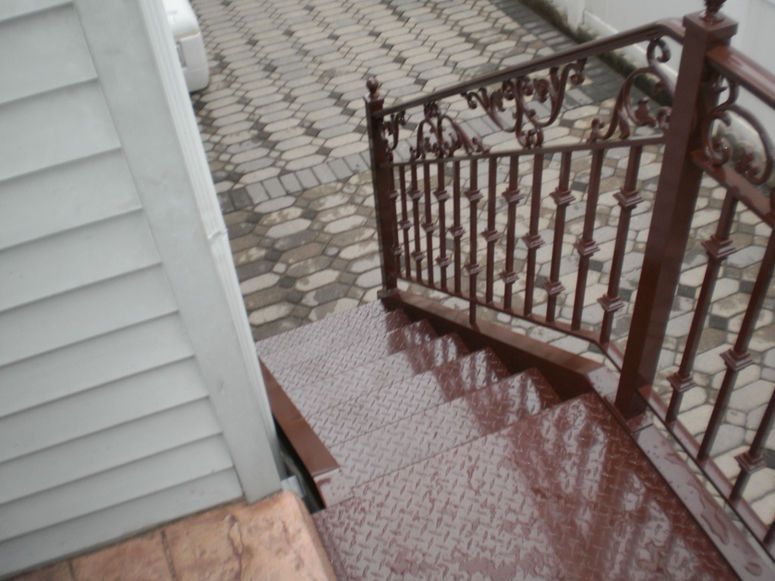 Front steps with red patterned carpet and ornate brown metal railing beside gray siding
