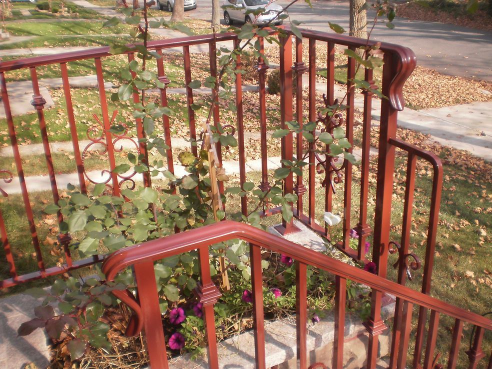Red metal garden railing around a small porch with potted plants and sidewalk in the background