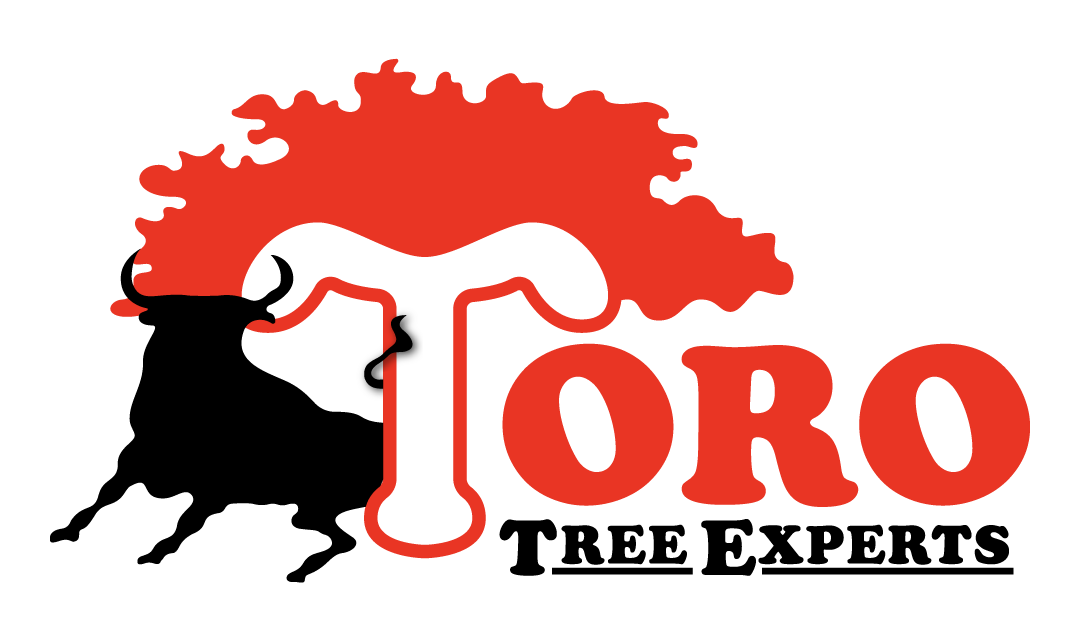 Toro Tree Experts