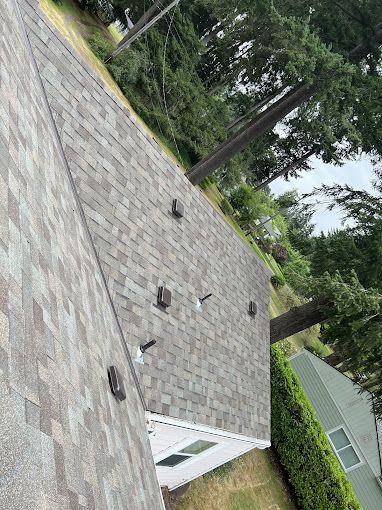 A roof with a lot of shingles and trees in the background.