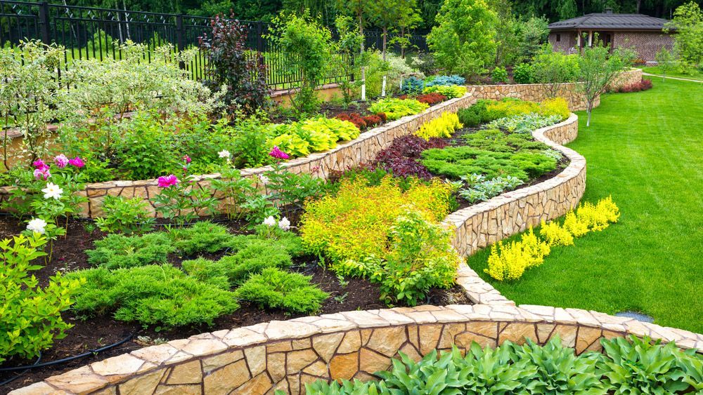A garden with lots of plants and flowers and a stone wall.