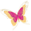 A drawing of a pink and yellow butterfly on a white background