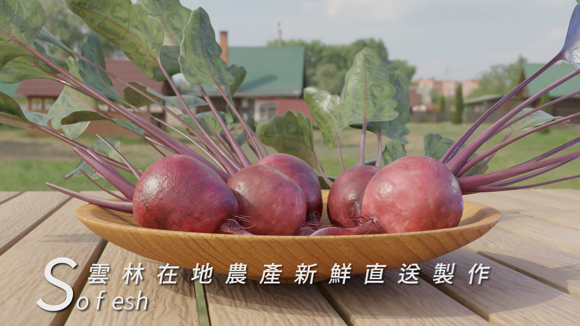 甜菜根 | 全部產品