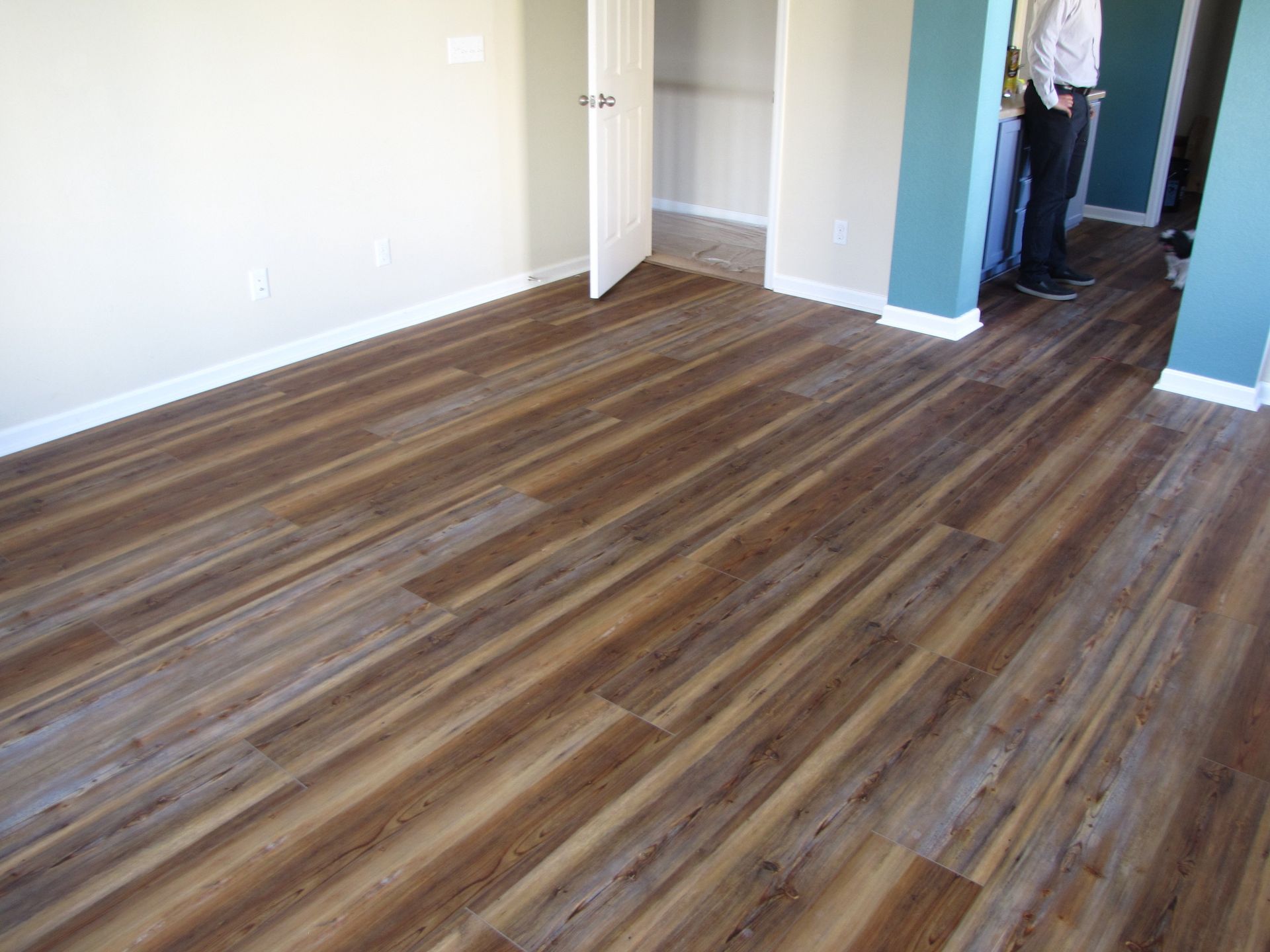 Room with wood-look flooring. White and teal walls, open closet, and person standing in the doorway.
