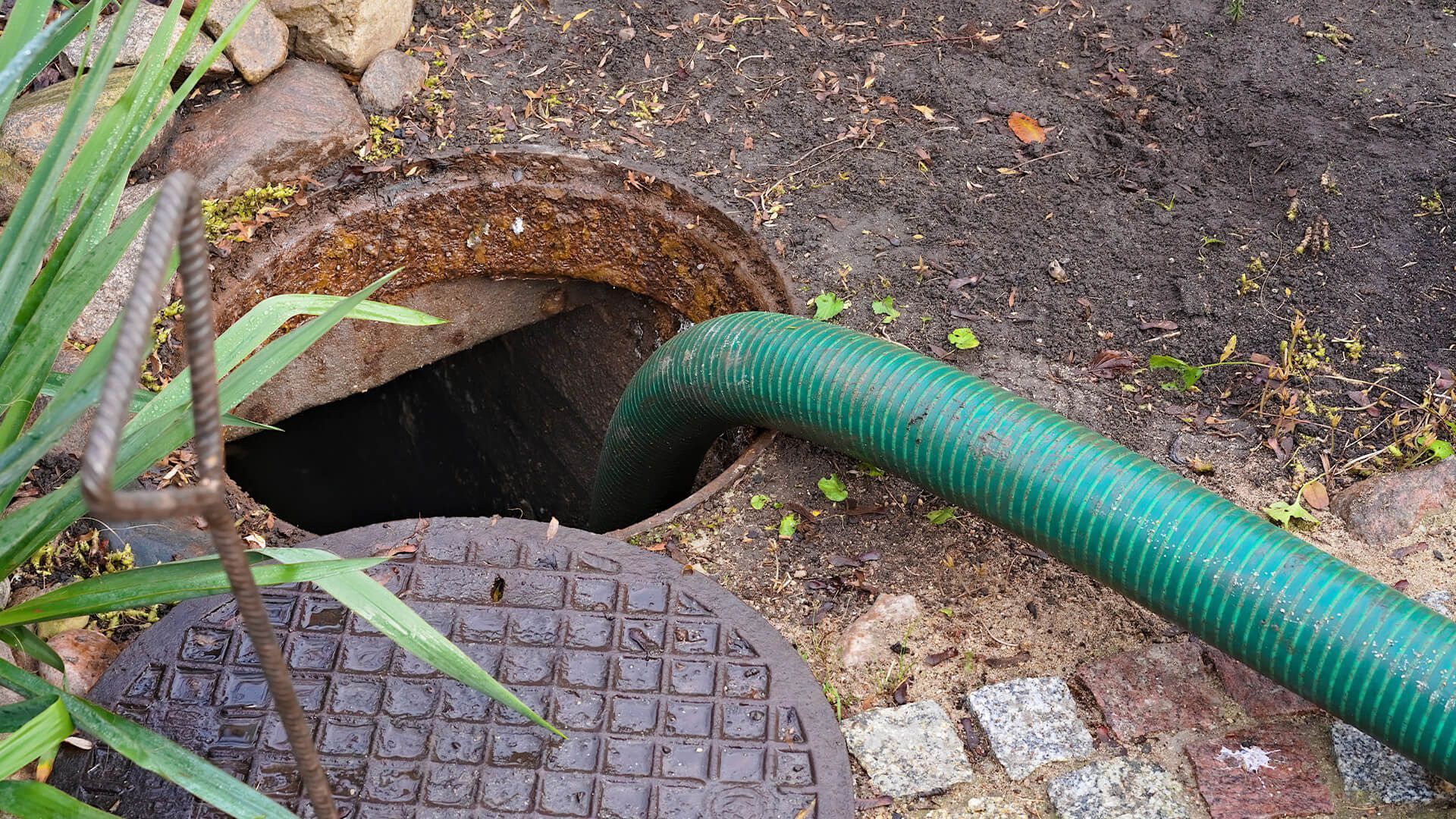 septic tank repair in Greenville, NC