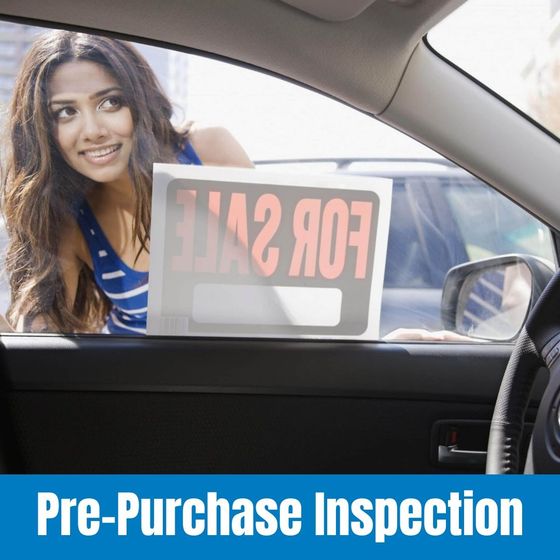 Woman leaning into car window with 