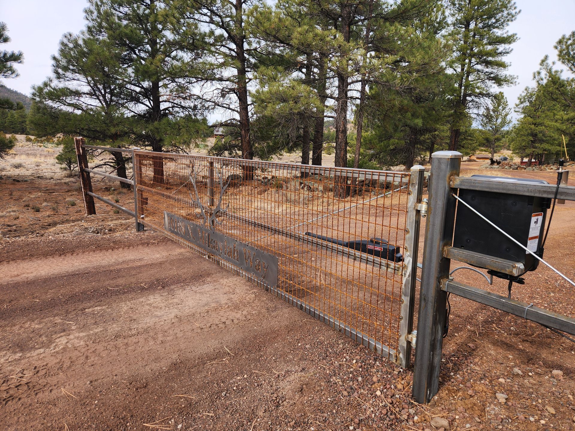 Rusty wire fence gate beside a dirt road with pine trees in the background