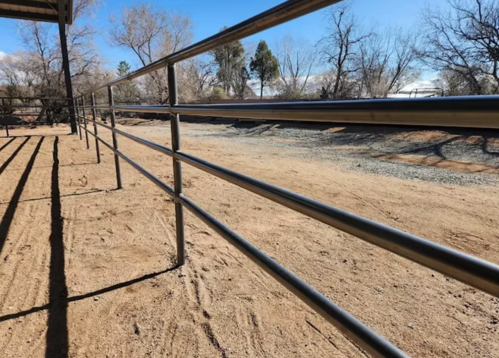 Black metal fence along a sandy path in a sunlit rural area with bare trees and gravel road