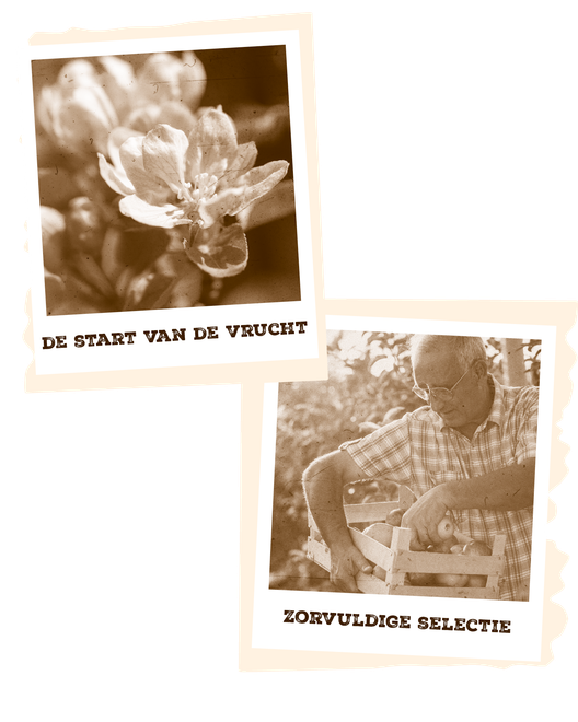 bloesem en selectie