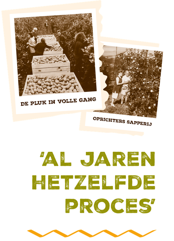 pluktrein in de boomgaard