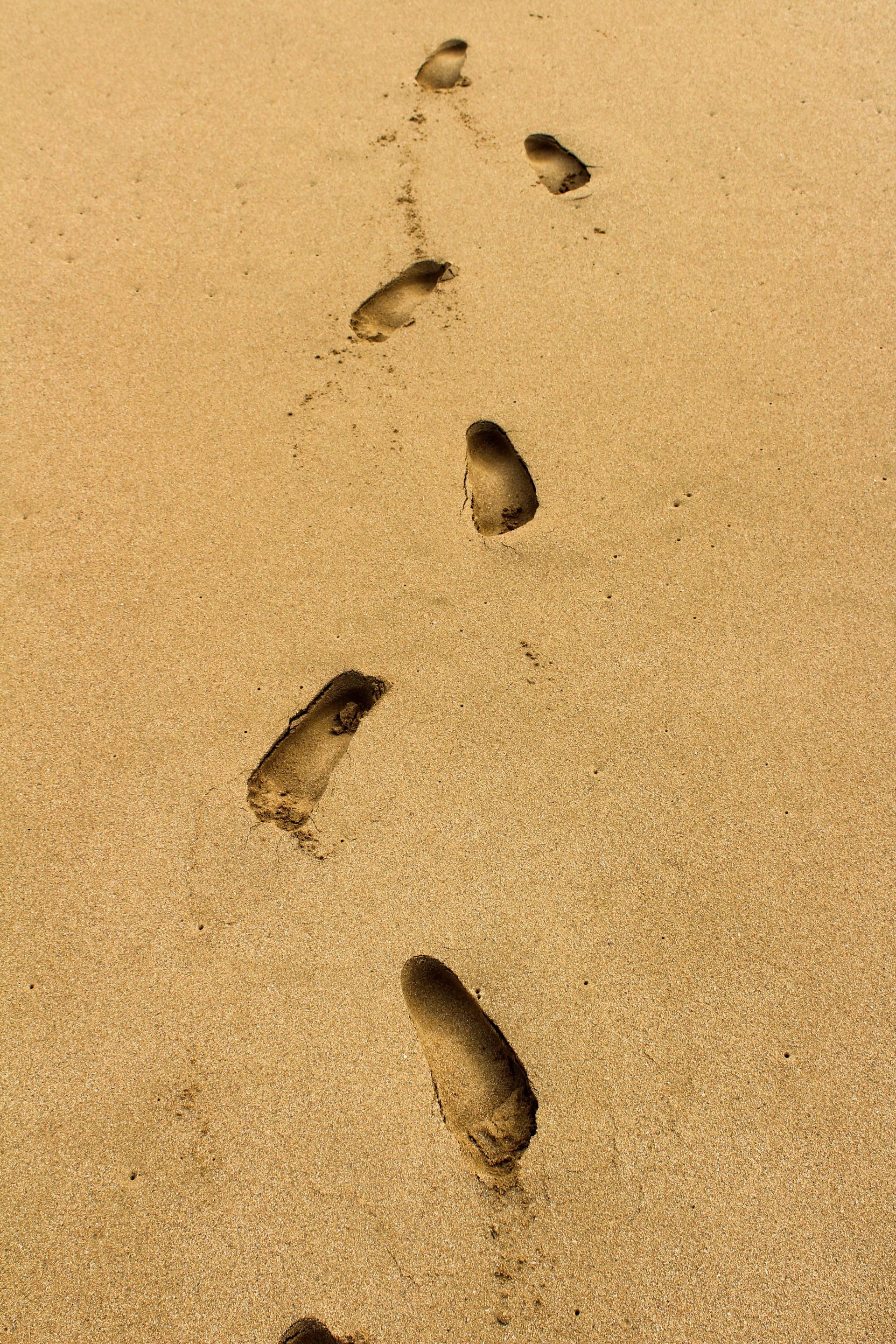 Trajecten